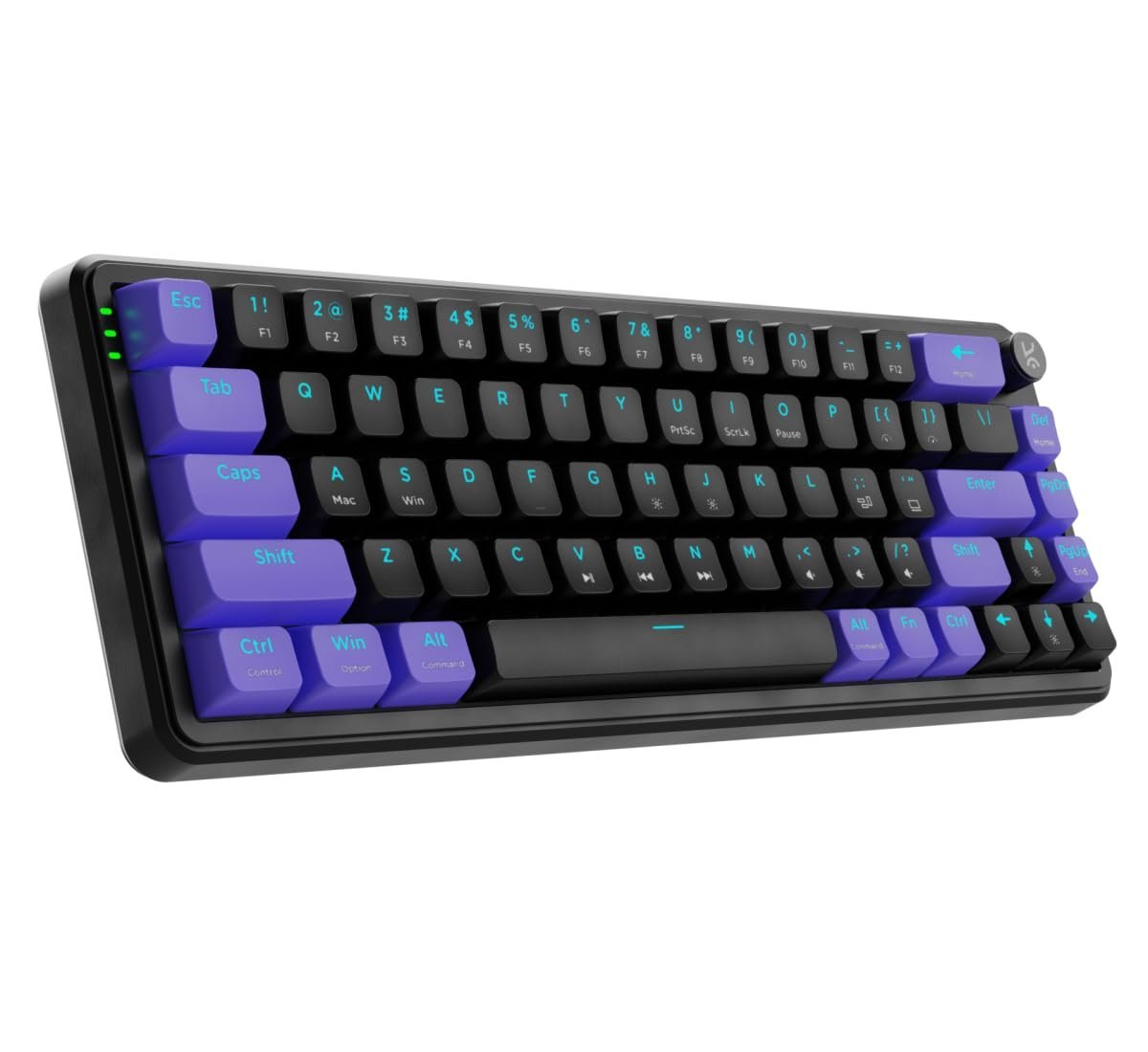 Hive 65 RGB Mechanical Gaming Keyboard | Pre-Lubed Switches, Anti-Ghosting, 5-Pin Hot-Swap | Wired 65% Keyboard with RGB Backlight & Detachable USB-C Cable (Black)